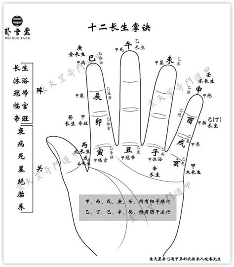 天干掌訣|三分鐘學會天干掌訣